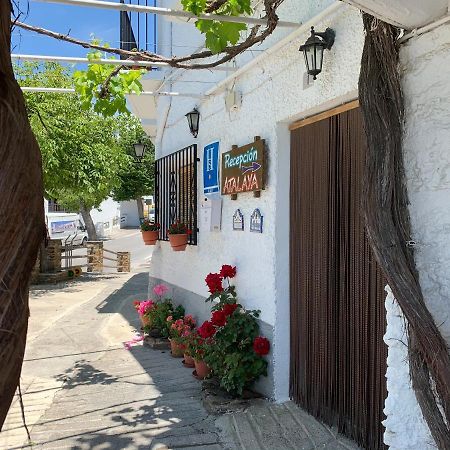 Hostal Atalaya En Capileira Cb ภายนอก รูปภาพ